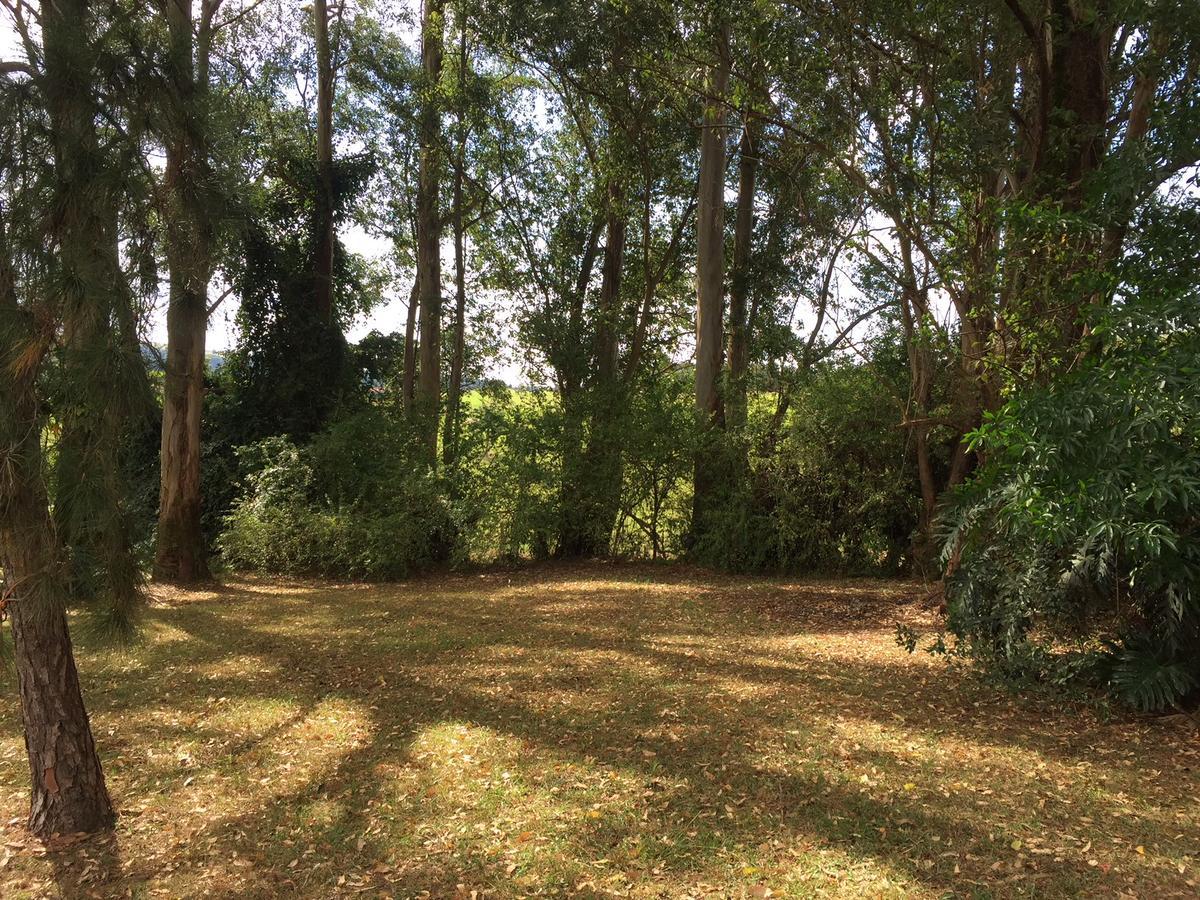 Fazenda Pinhalzinho * Ribeirao Claro