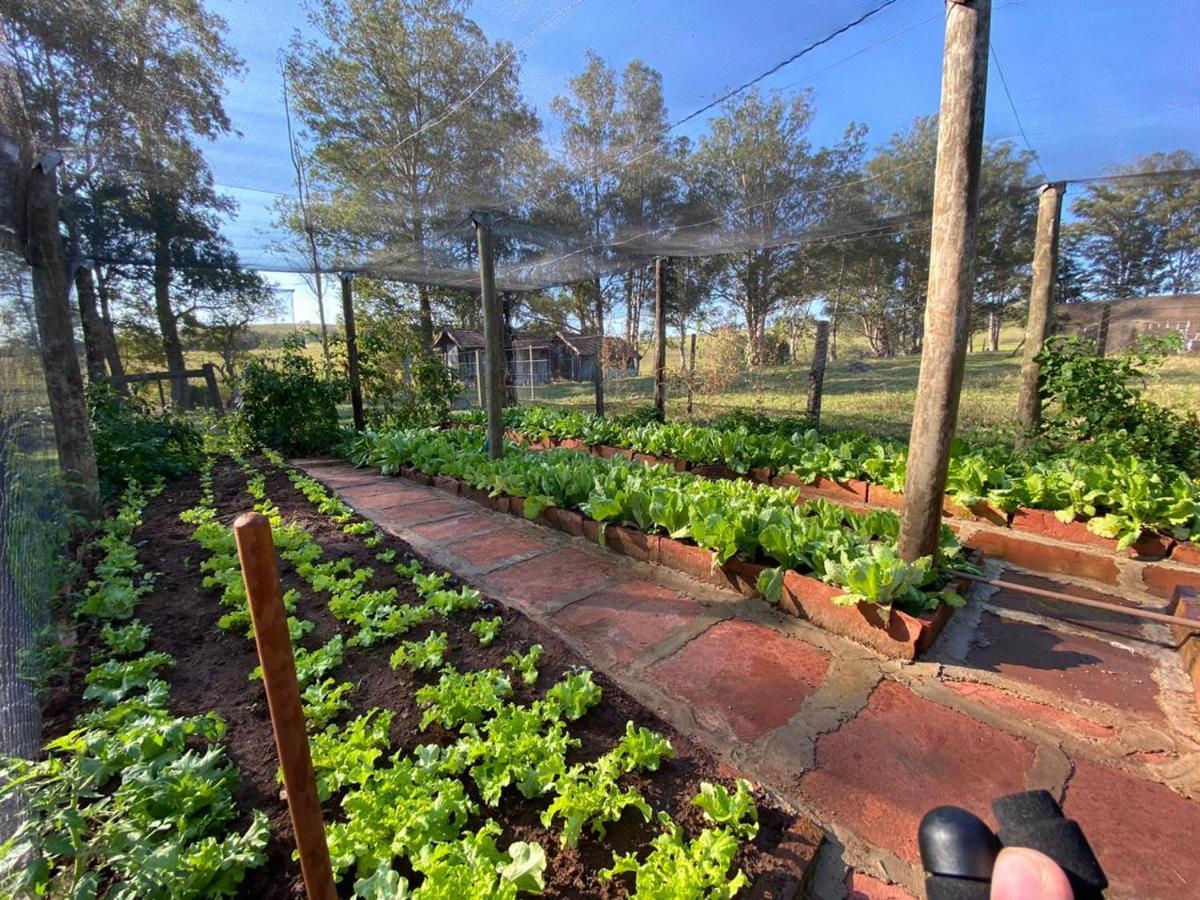 Inn Fazenda Pinhalzinho *