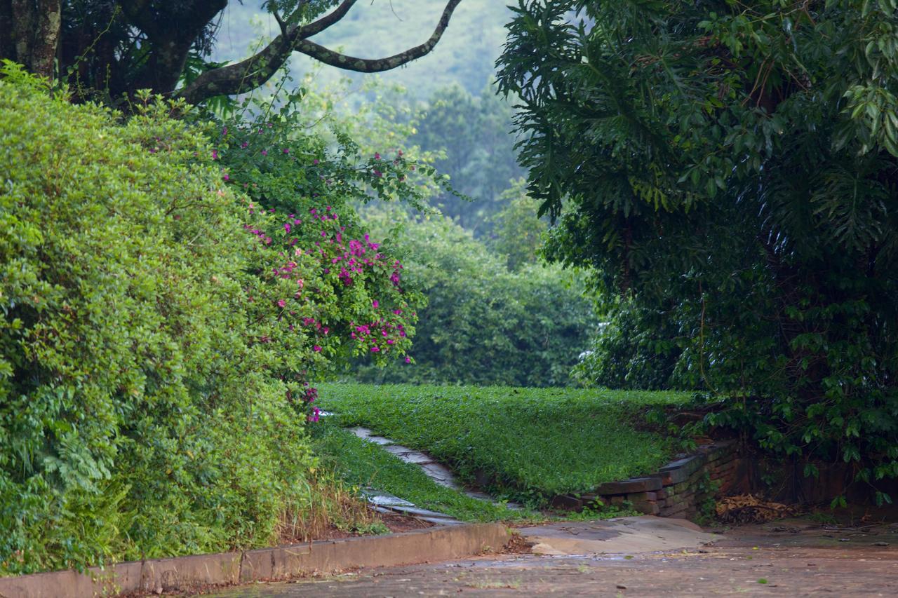 Fazenda Pinhalzinho Inn *
