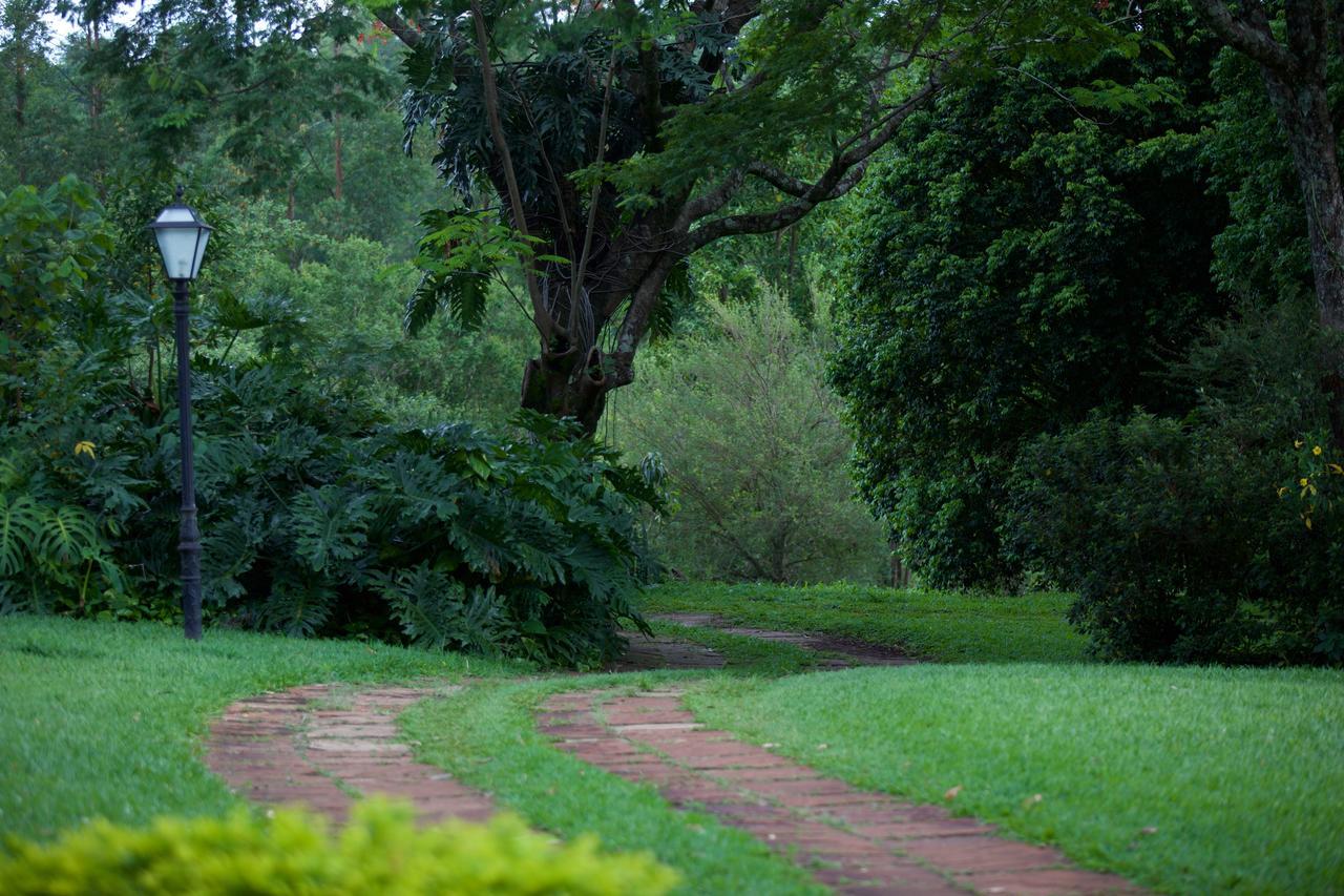 Fazenda Pinhalzinho Ribeirao Claro