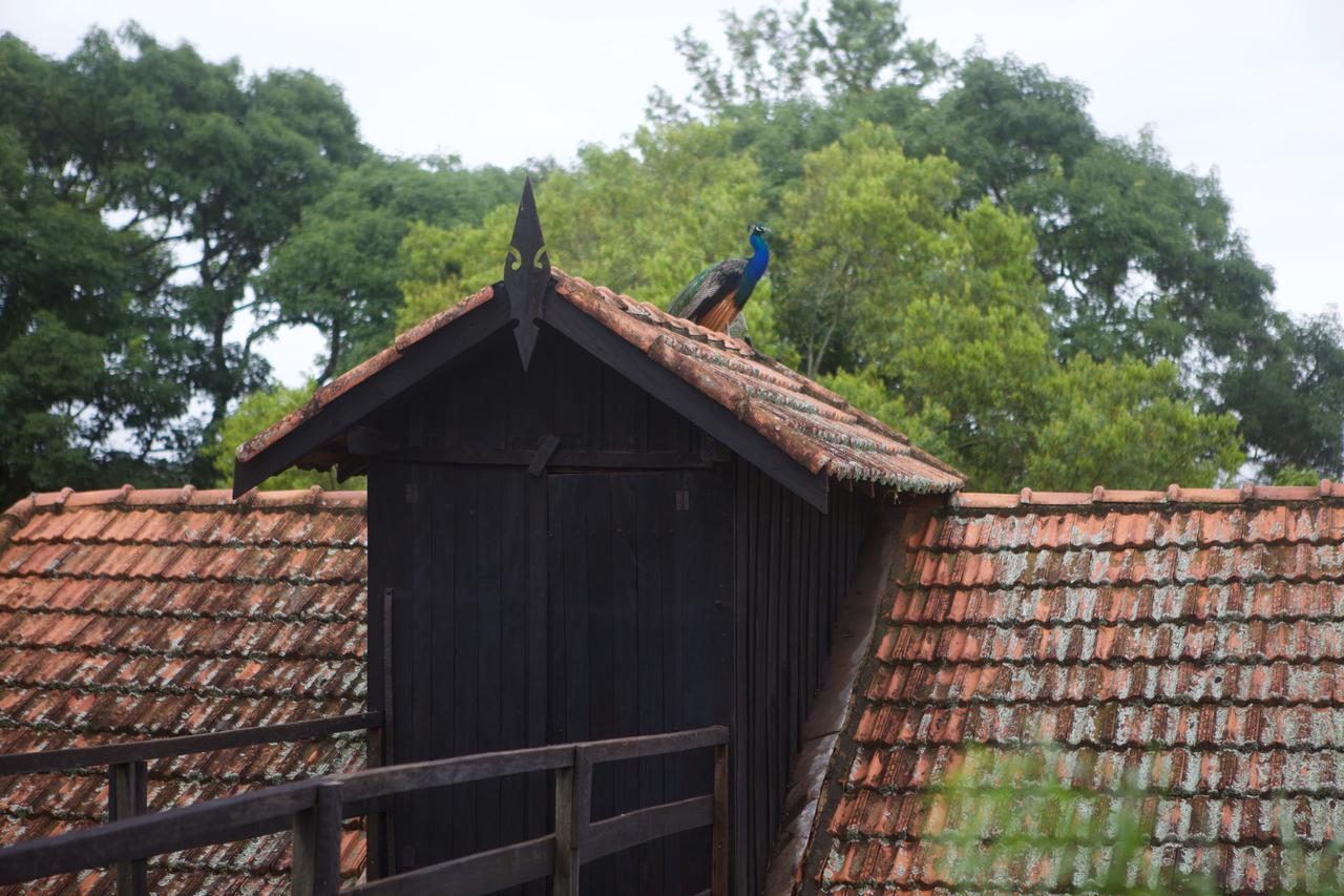 Fazenda Pinhalzinho Inn