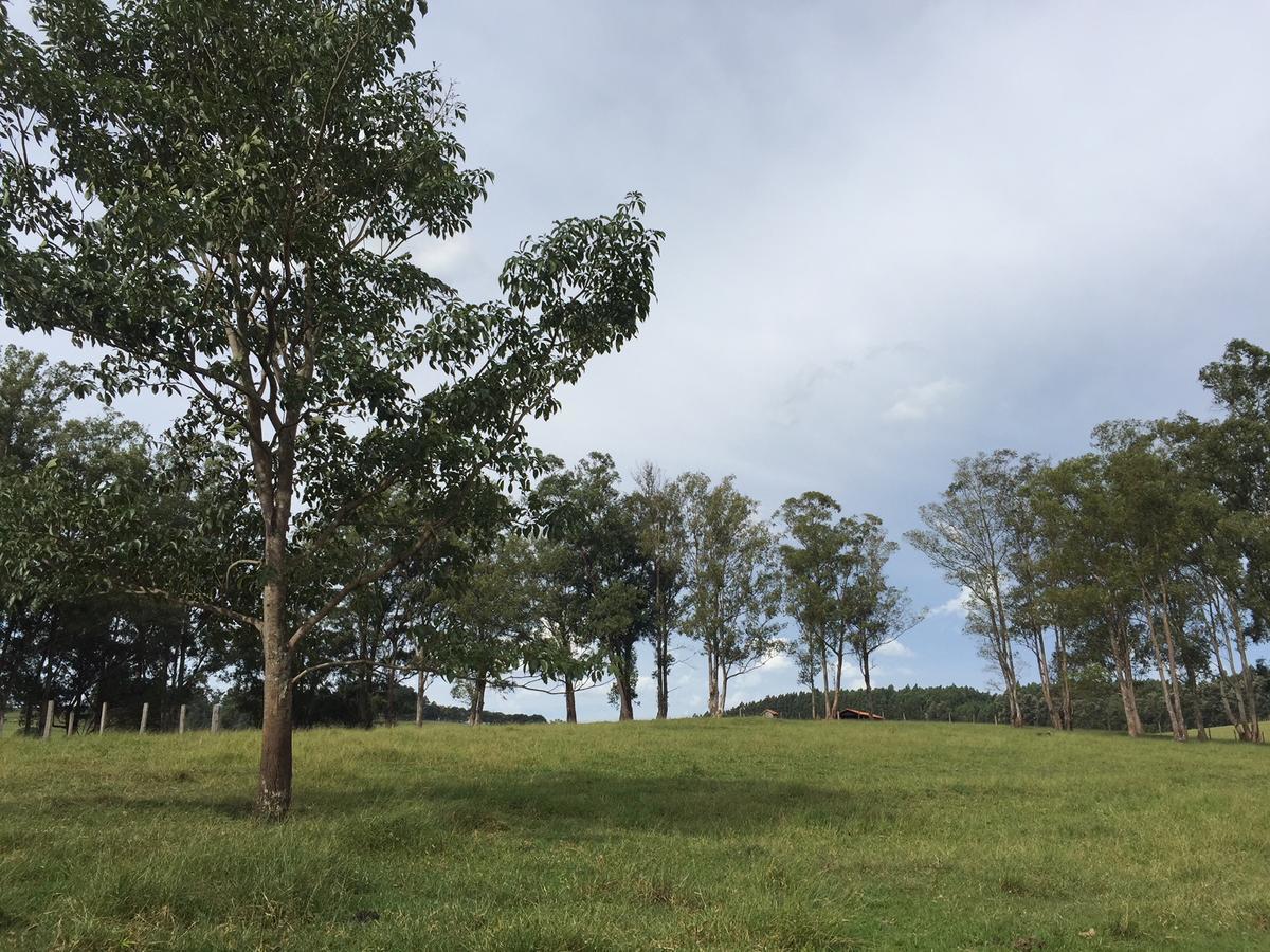 Fazenda Pinhalzinho Ribeirao Claro