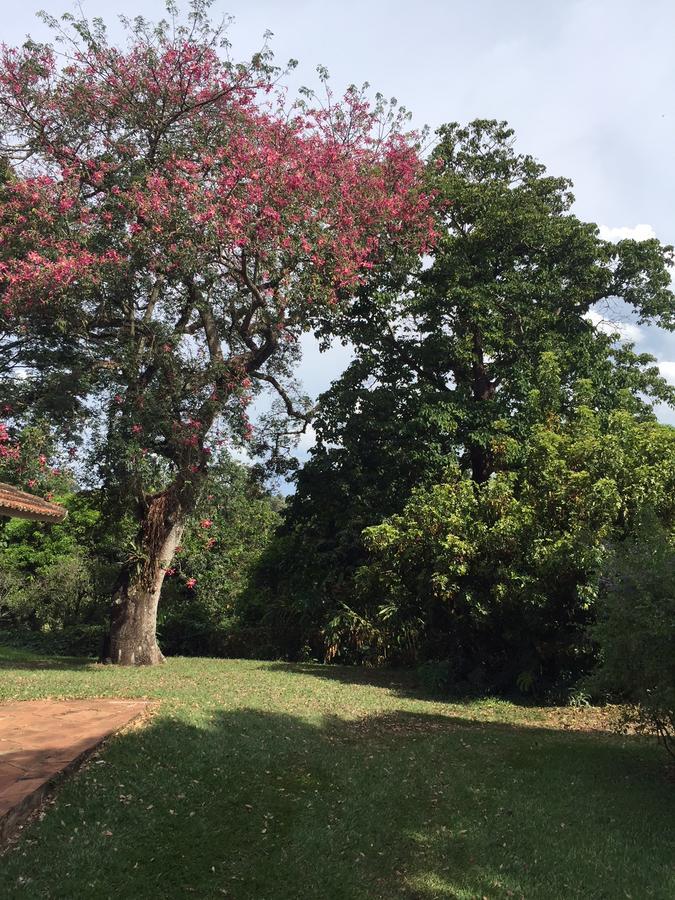 Fazenda Pinhalzinho Inn
