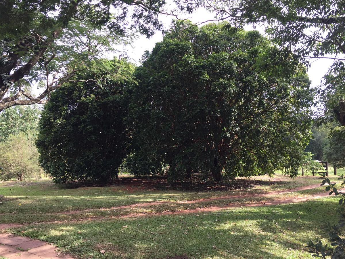 Fazenda Pinhalzinho